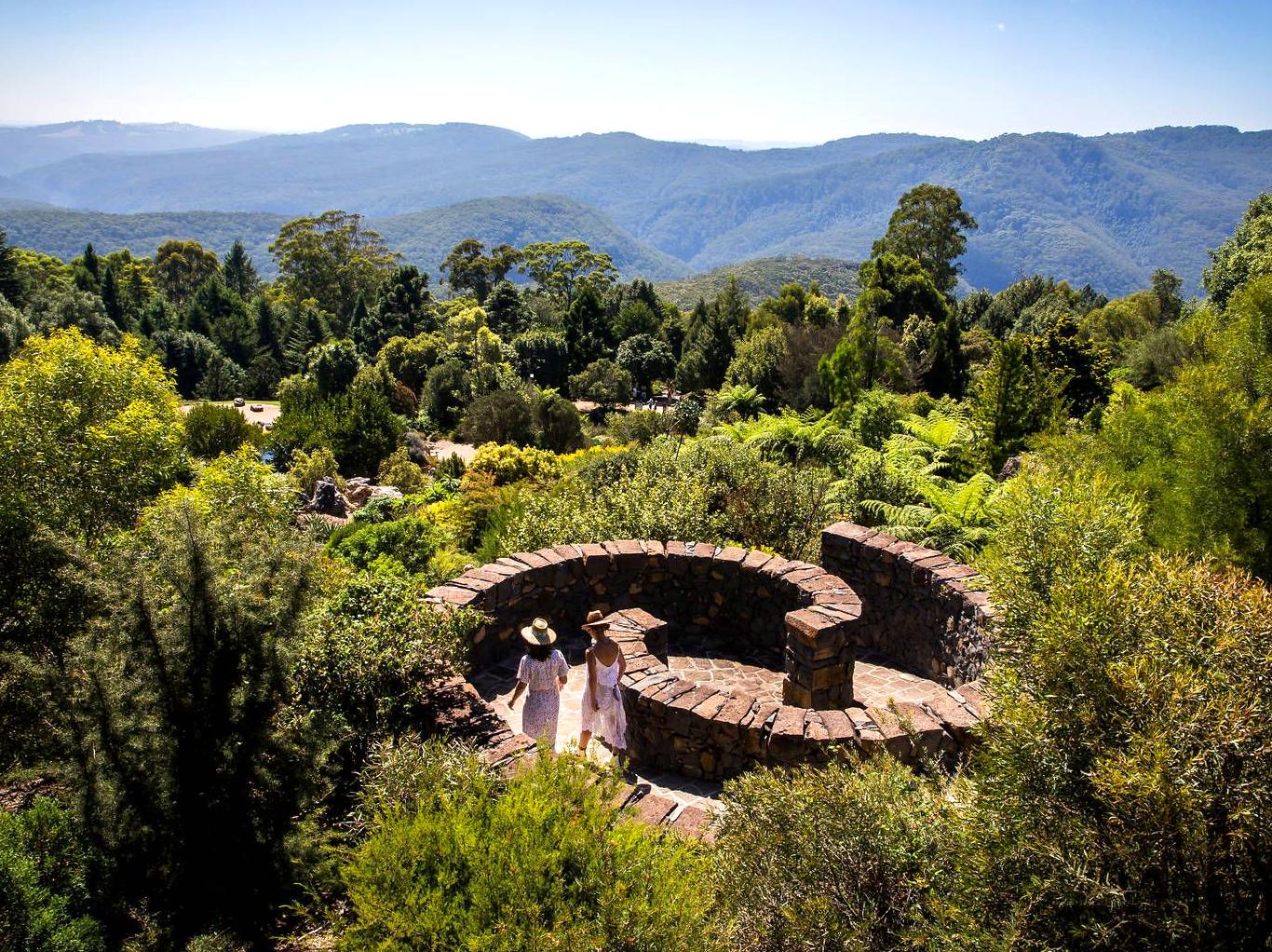 leftofcollegestation|Blue Mountains Botanic Garden: The diverse flora of Blue Mountains Botanic Garden.