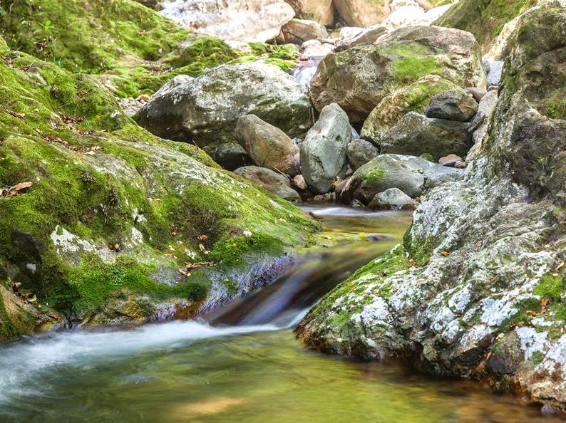 leftofcollegestation|Wentworth Falls Walk: Hiking to the stunning Wentworth Falls.