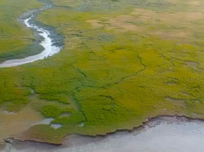 leftofcollegestation|Nelson River Estuary: Estuarine Habitat and Birdwatching