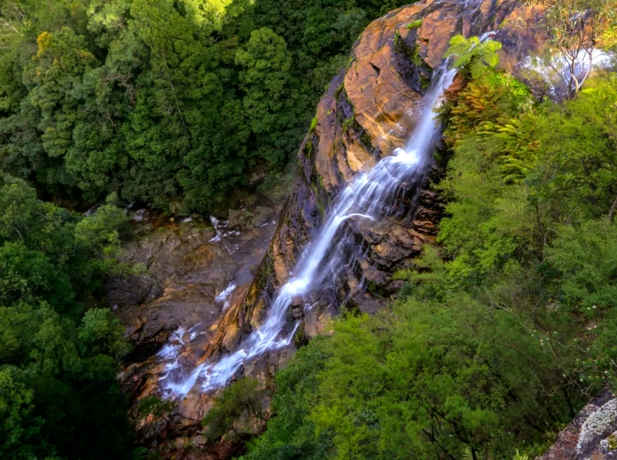 leftofcollegestation|Leura Cascades Picnic Area: Enjoying a day at Leura Cascades Picnic Area.